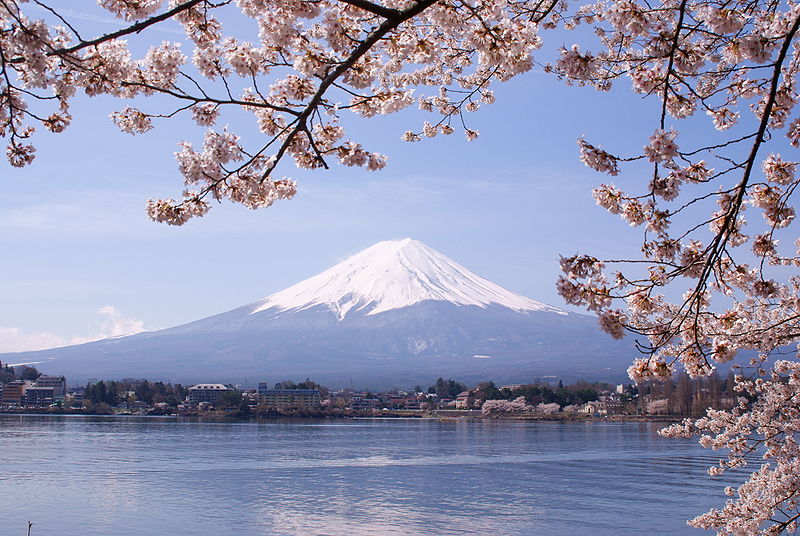 Mount Fuji amidst cherry blossoms