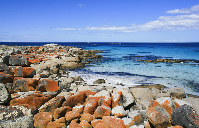 Lichen-stained rocks at the Bay of Fires, Tasmania