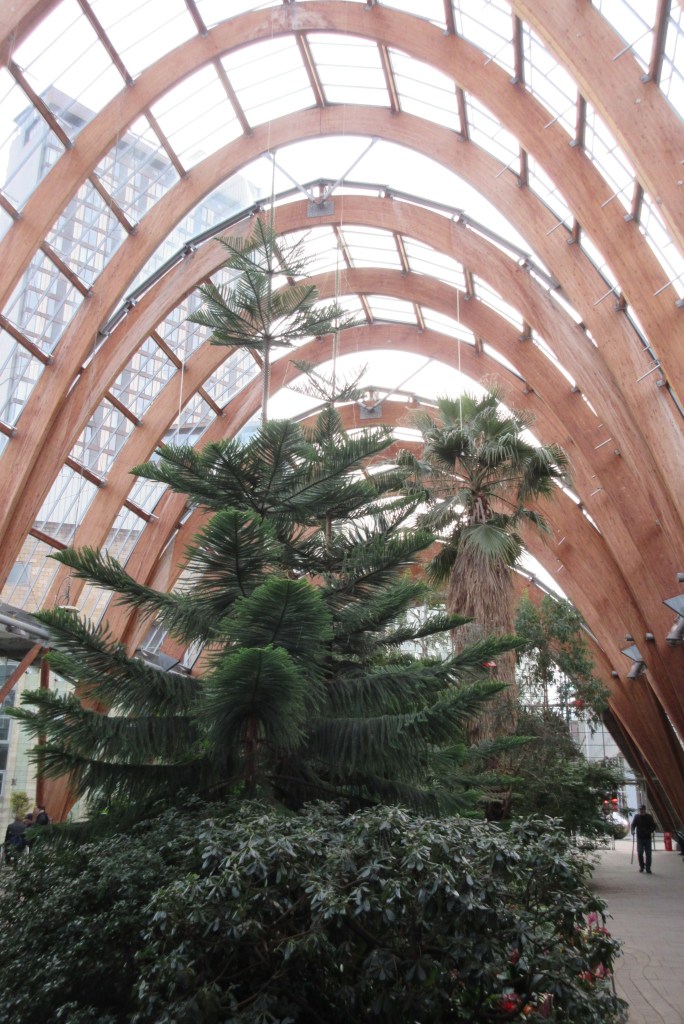 Sheffield Winter Garden
