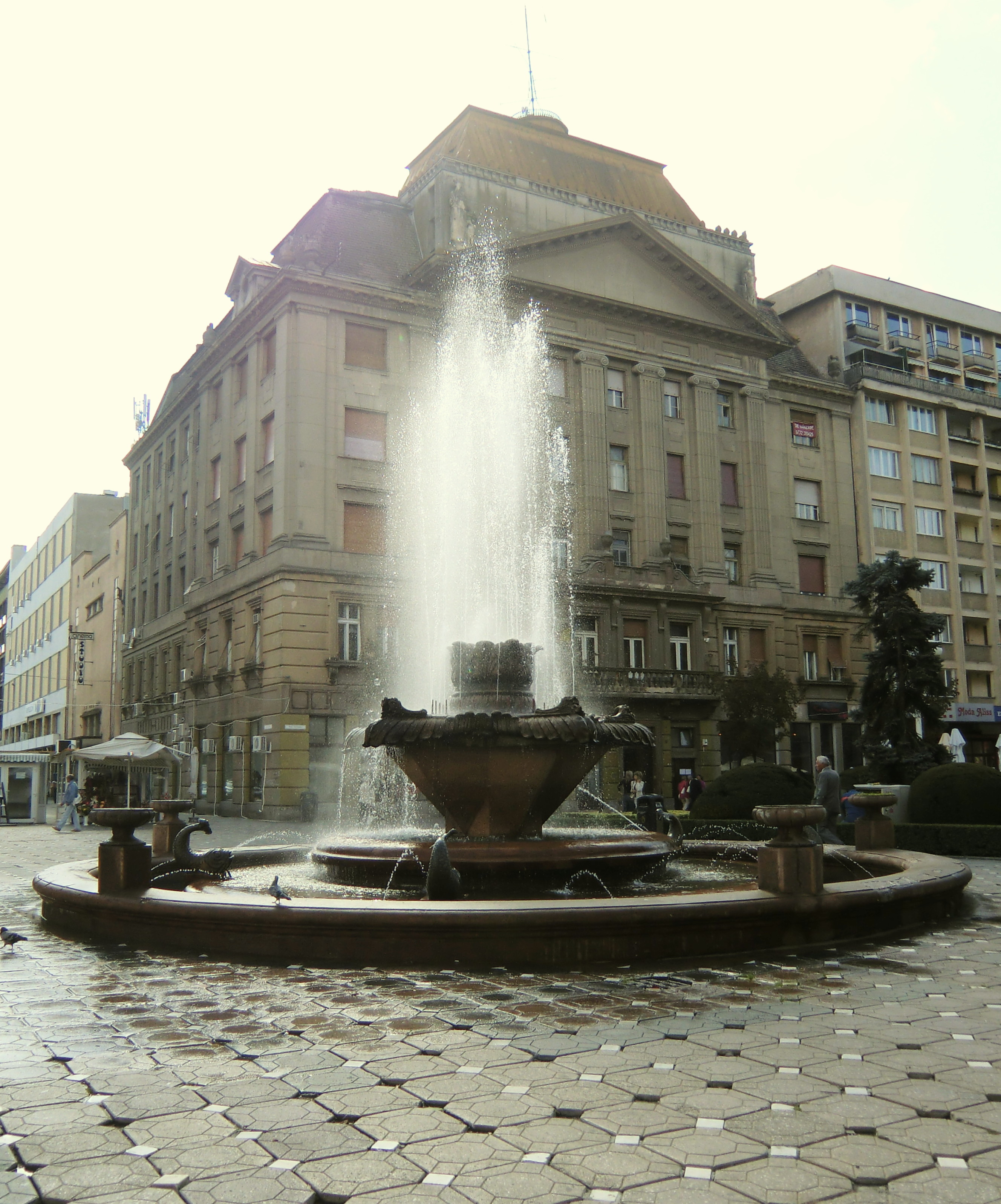 fischbrunnen-timic899oara