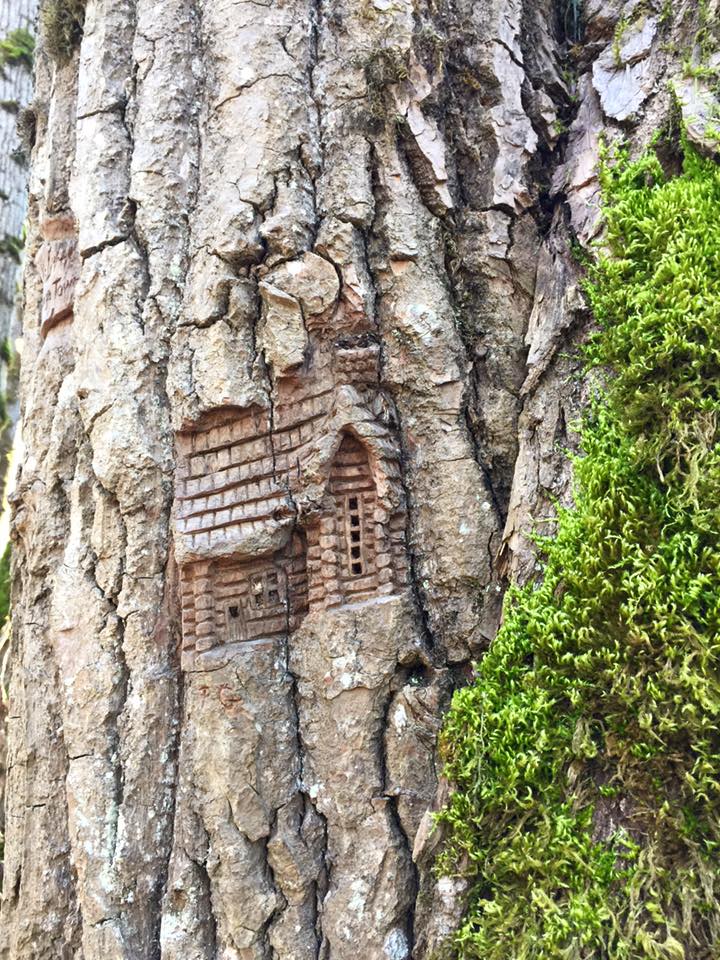 12108829_10153052596406751_6872753510391632212_n