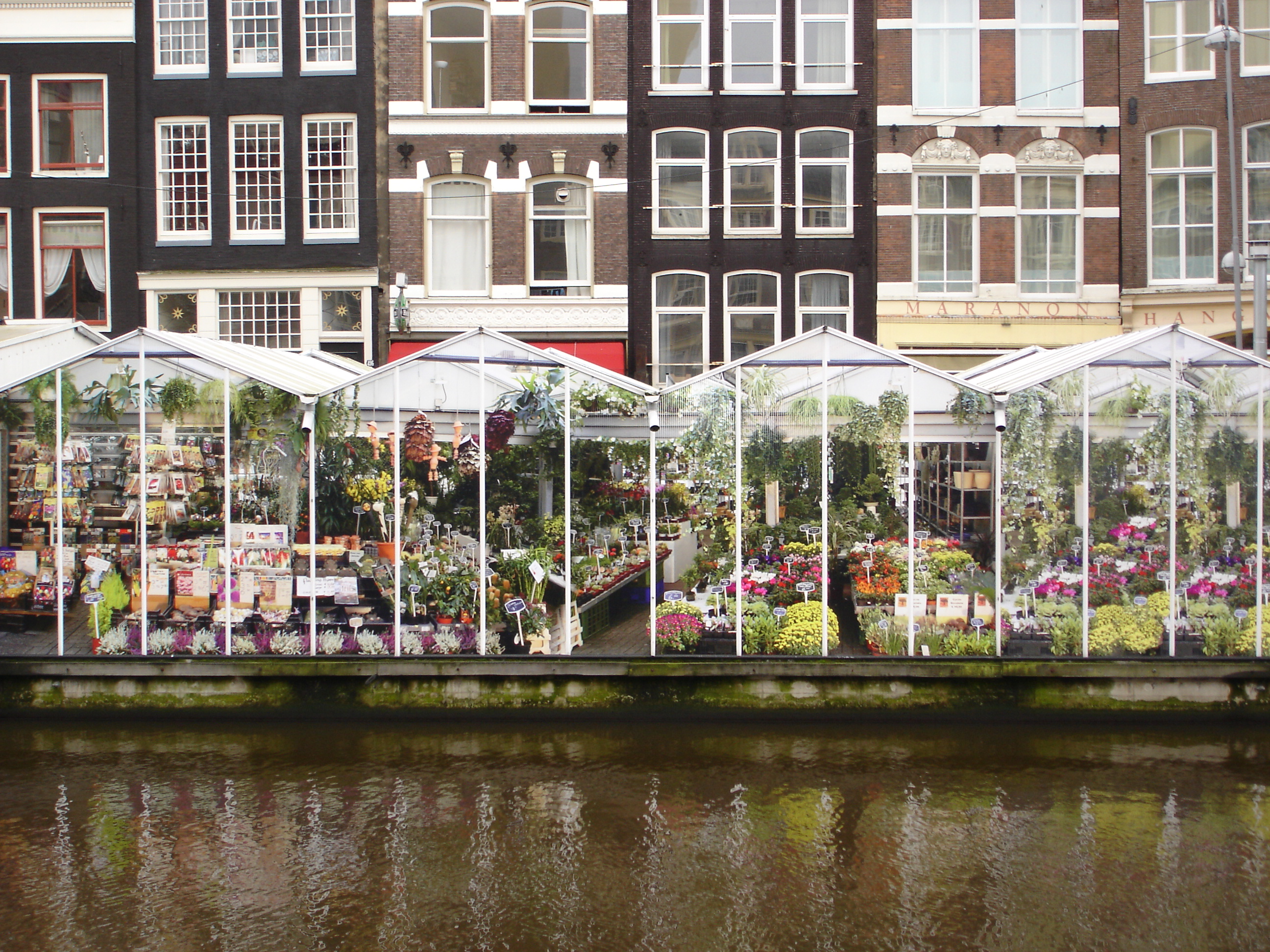 marchc3a9_aux_fleurs_amsterdam