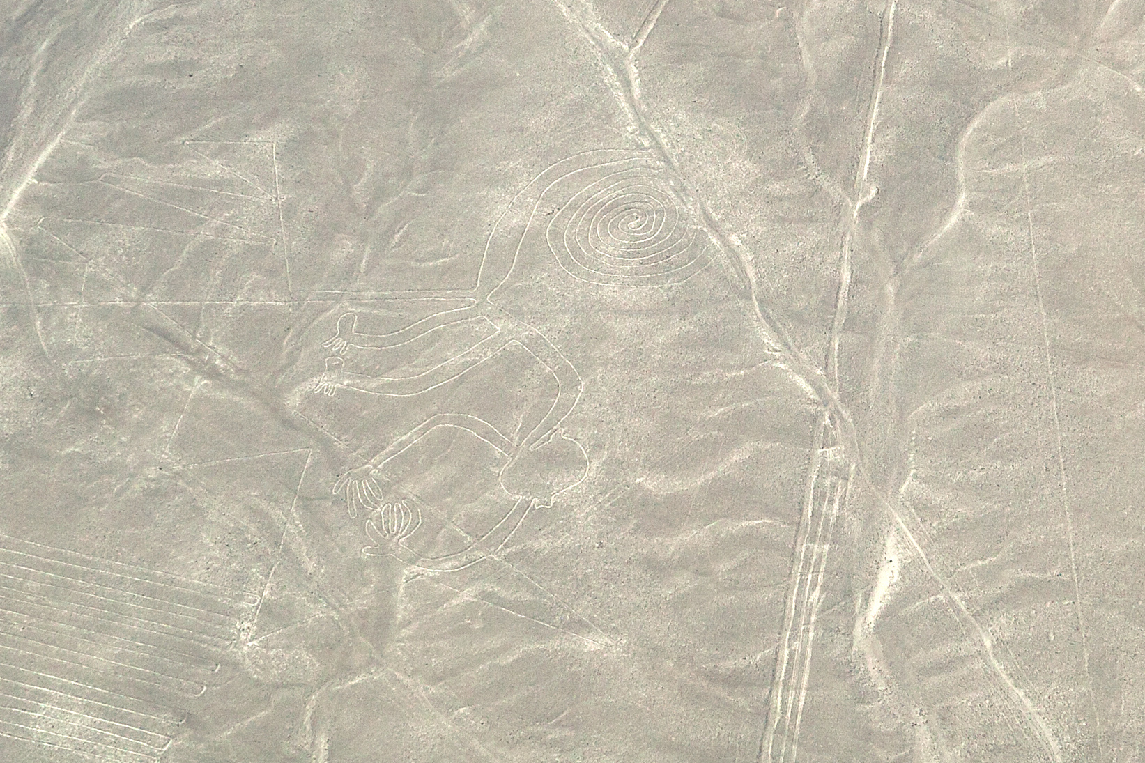 Nazca-Linien, Affe