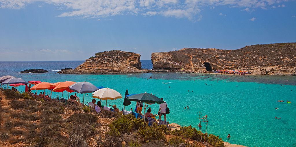 dimg_0959_4996486109