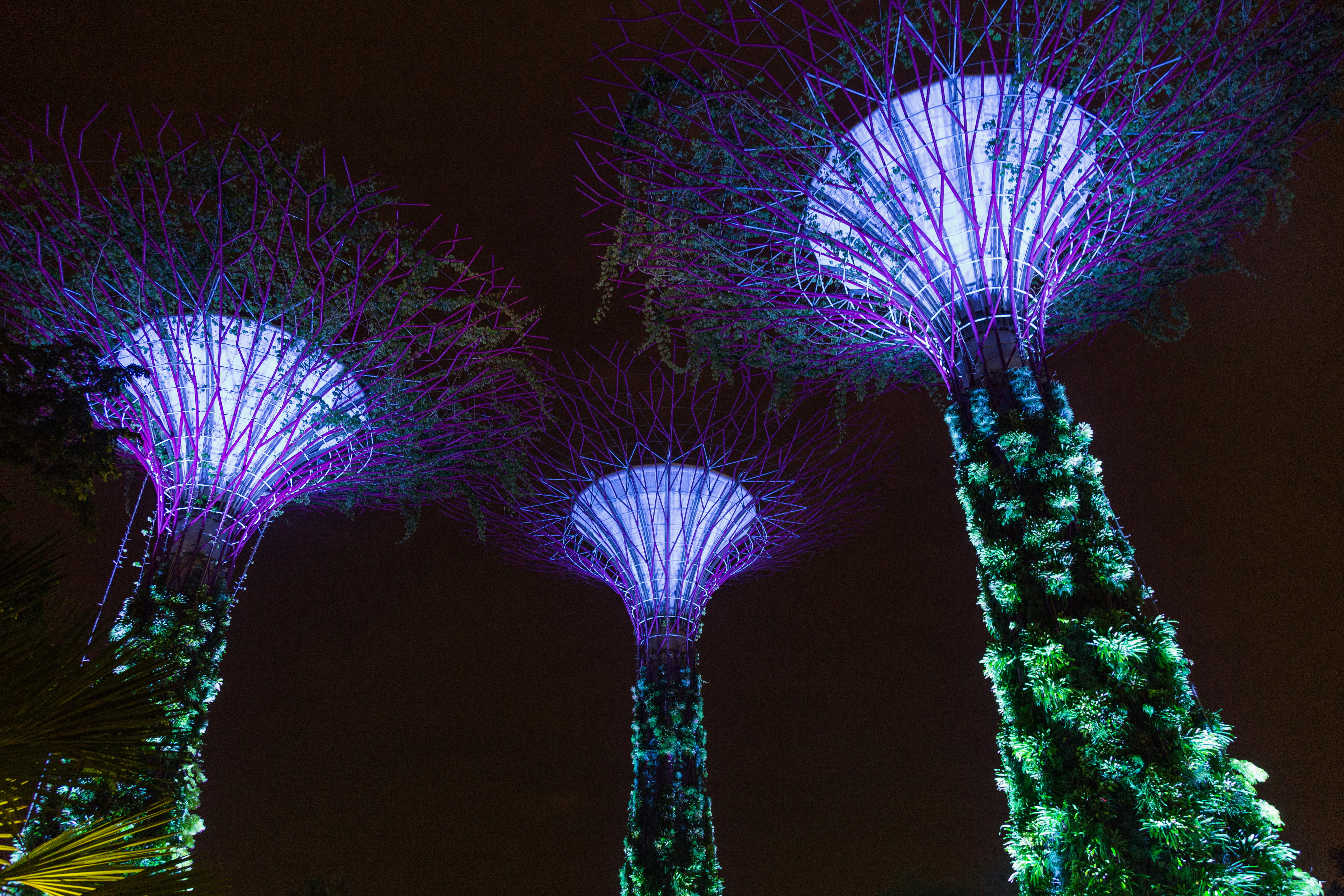 2016_singapur2c_gardens_by_the_bay2c_supertree_grove_281029