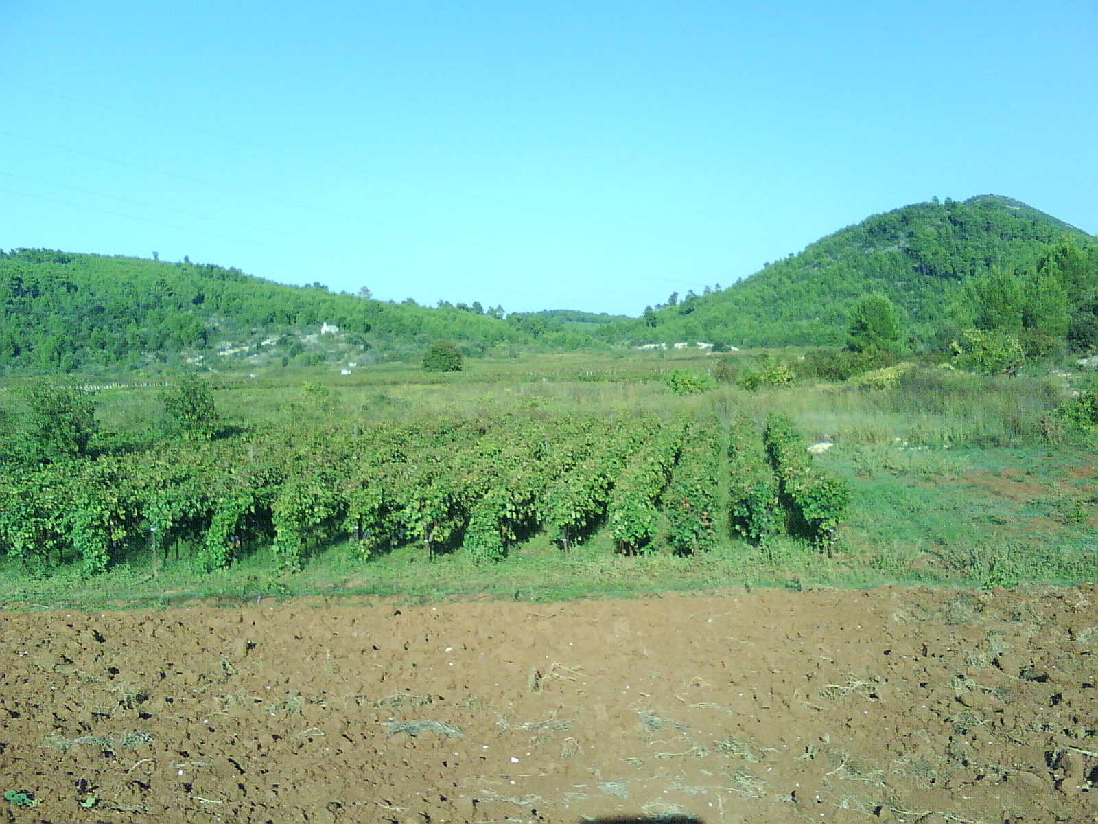 krajolici_korc48dula04593