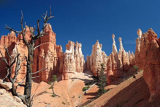 Hoodoos_from_the_Peekaboo_Loop_Trail_-_Bryce_Canyon_National_Park