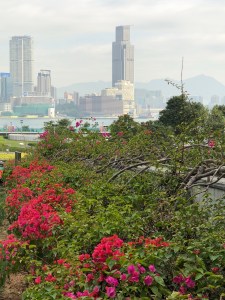 View from Victoria Harbour
