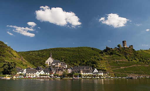 Vineyards_in_Beilstein,_Mosel
