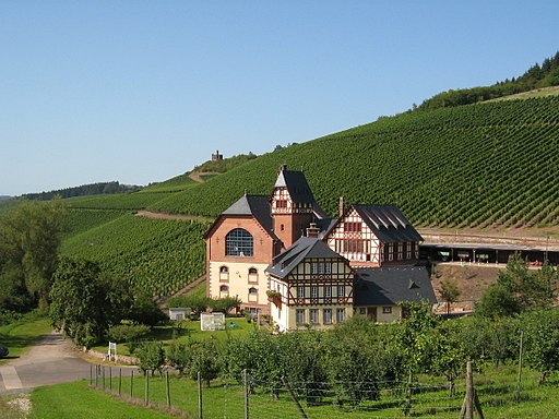 Weinbaudomäne_Trier